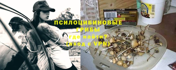 таблы Горняк